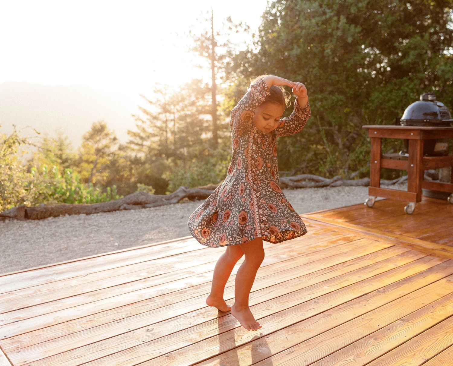 Our tiny house Escher in the Santa Cruz Mountains